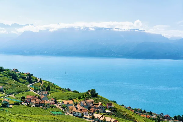 Lavaux Winnica tarasy Jeziora Genewskiego i szwajcarskie góry Szwajcaria — Zdjęcie stockowe