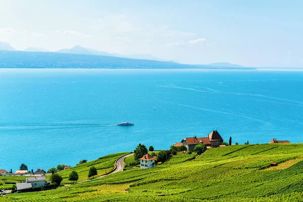 Lavaux Vineyard Terrace in Svizzera — Foto Stock