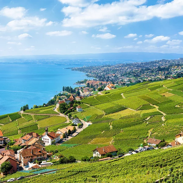 Švýcarsko terasou Vinice Lavaux — Stock fotografie