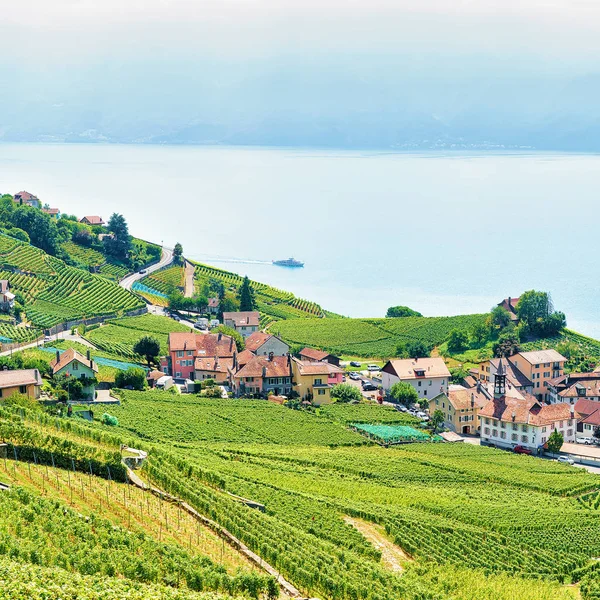 Rota de caminhadas Lavaux Vineyard Terrace na Suíça — Fotografia de Stock