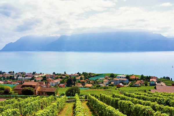 Pejzaż z tarasem winnicę Lavaux wędrówki szlakiem Szwajcarii — Zdjęcie stockowe