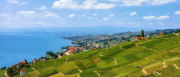 Chalet vicino Lavaux Vineyard Terrazza sentiero escursionistico della Svizzera — Foto Stock