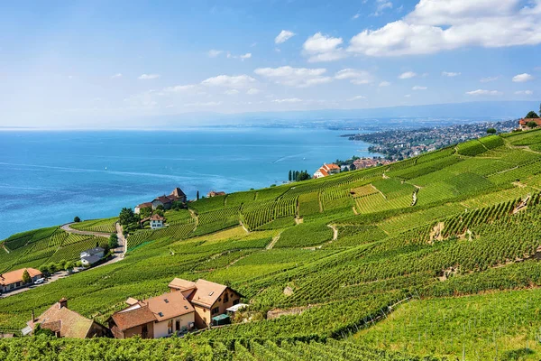 Horské chaty Vinice Lavaux pěší stezka Švýcarsko — Stock fotografie