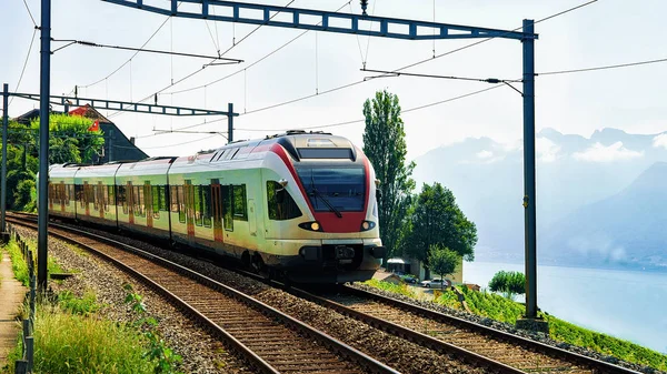 Pociąg w pobliżu taras winnicę Lavaux na Jezioro Genewskie, Alpy — Zdjęcie stockowe