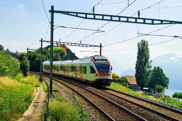 Tren en Viñedo Terrazas de Lavaux cerca del Lago de Ginebra Alpes — Foto de Stock