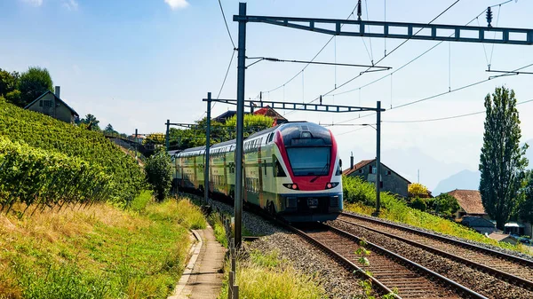 Tren en Vineyard Terraza de Lavaux Suiza — Foto de Stock