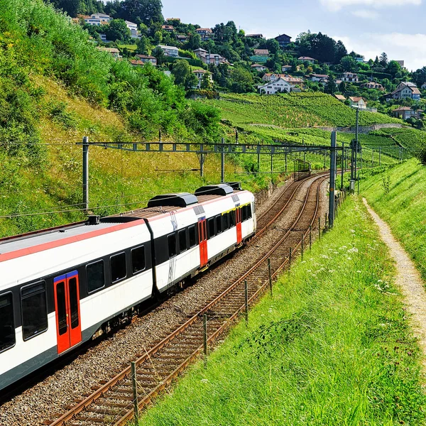 Tren en las terrazas del viñedo de Lavaux Swiss — Foto de Stock