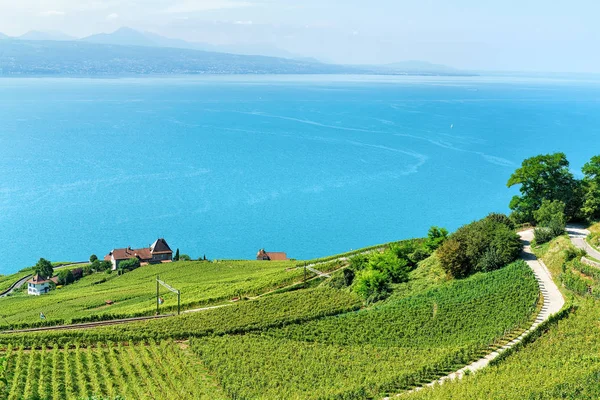 Železniční trať v Lavaux vinice terasy Ženevského jezera ve Švýcarsku — Stock fotografie