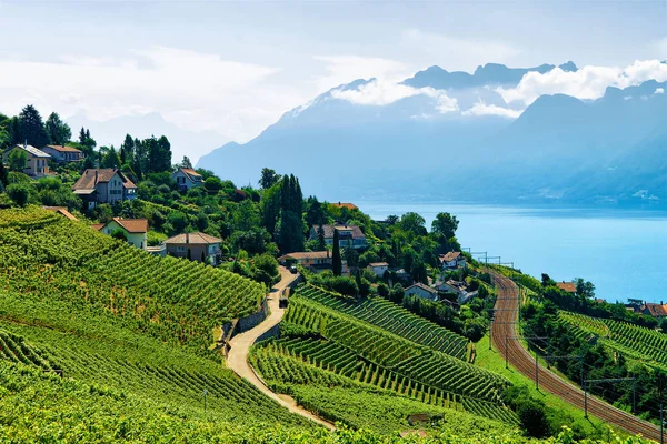 Linha férrea em Lavaux Vineyard Terrace Lake Geneva Swiss — Fotografia de Stock