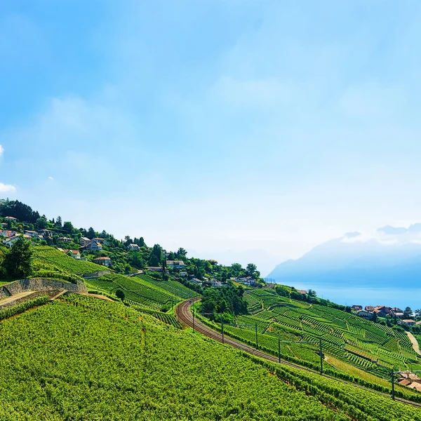 Spoorlijn in de buurt van Lavaux wijngaard terrassen meer van Genève van Zwitserland — Stockfoto