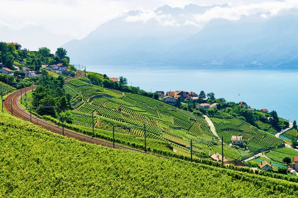 Linia kolejowa w pobliżu Lavaux winnicy tarasem Jeziora Genewskiego Szwajcaria — Zdjęcie stockowe