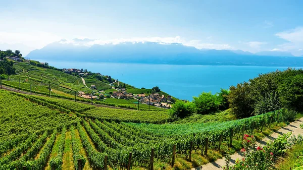 Ligne de chemin de fer à Lavaux Vignoble Terrasses Lac Léman de Suisse — Photo