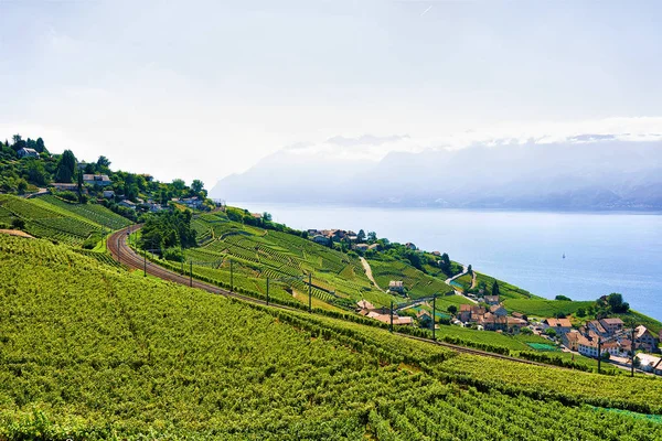 Linha férrea em Lavaux Vineyard Terraços Lago Genebra na Suíça — Fotografia de Stock