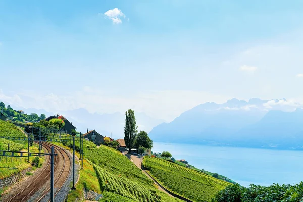 Linia kolejowa w regionie Lavaux Winnica tarasy Jeziora Genewskiego Szwajcaria — Zdjęcie stockowe