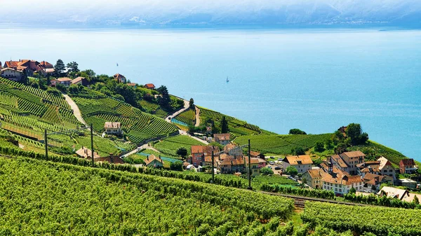 Linea ferroviaria a Lavaux Vineyard Terrace Lago di Ginevra Svizzera — Foto Stock