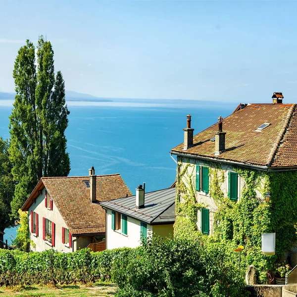 Chaty na vinice terasy pěší stezka Lavaux ve Šv — Stock fotografie