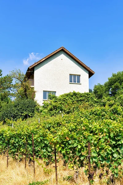 Domki w winnicę Lavaux tarasy w Szwajcarii Lavaux Oron — Zdjęcie stockowe