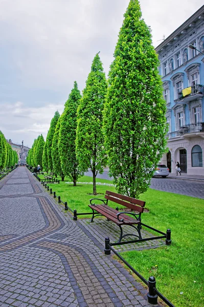 ポズナンでの Marcinkovsky の路地で公園のベンチ — ストック写真