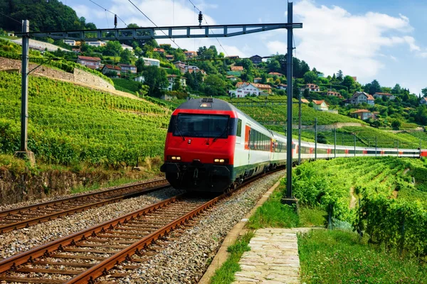 Tren en ferrocarril cerca de Lavaux Vineyard Terrazas — Foto de Stock