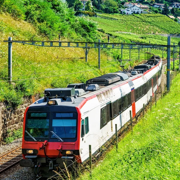 Tren suizo en Vineyard Terrazas de Lavaux Suiza — Foto de Stock