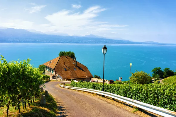 Strada del vigneto Lavaux Terrazze sentiero Svizzera — Foto Stock