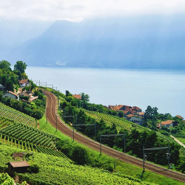 Estrada de ferro em Lavaux Vineyard Terraços Lago de Genebra na Suíça — Fotografia de Stock