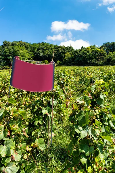 Nome da placa no Vineyard Terraces trilha de Lavaux na Suíça — Fotografia de Stock