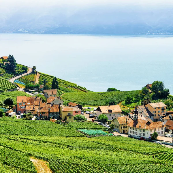 Campagne sur Lavaux Vignoble Terrasses Sentier de randonnée Suisse — Photo