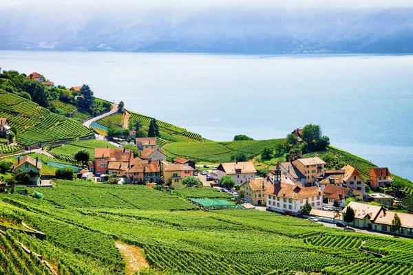 Wsi w Lavaux Winnica tarasy pieszej szlak Szwajcaria — Zdjęcie stockowe