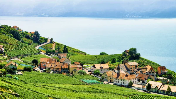 Krajobrazów regionu Lavaux Winnica tarasy pieszej szlak Szwajcaria — Zdjęcie stockowe