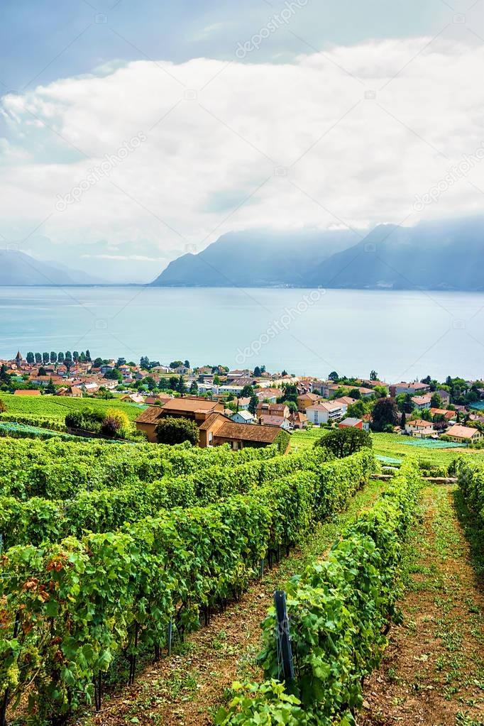 Countryside of Lavaux Vineyard Terraces hiking trail in Switzerland