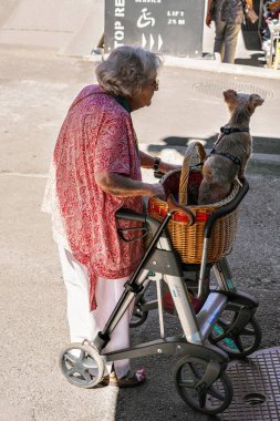 Üst düzey kadın ile köpek Zermatt