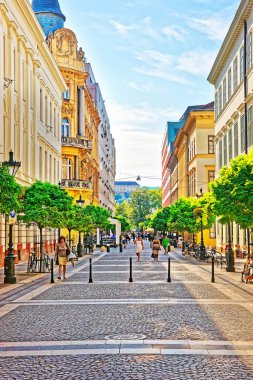 İnsanlar sokakta şehir merkezi Budapeşte