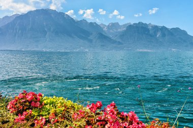 Setin Montreux Cenevre Gölü üzerinde çiçek çiçekler