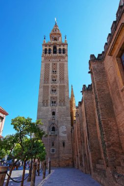 Seville Katedrali 'nin Aziz Meryem 'e Giralda