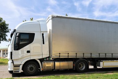 Avusturya'da yolda kamyon