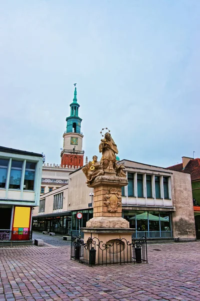 Statua di San Giovanni Nepomuceno in Piazza del Mercato a Poznan — Foto Stock