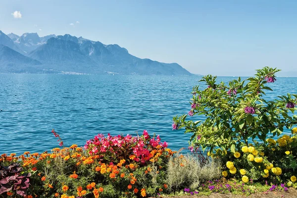 Virágok virágzó töltés-Genfi-tó, Montreux-i — Stock Fotó