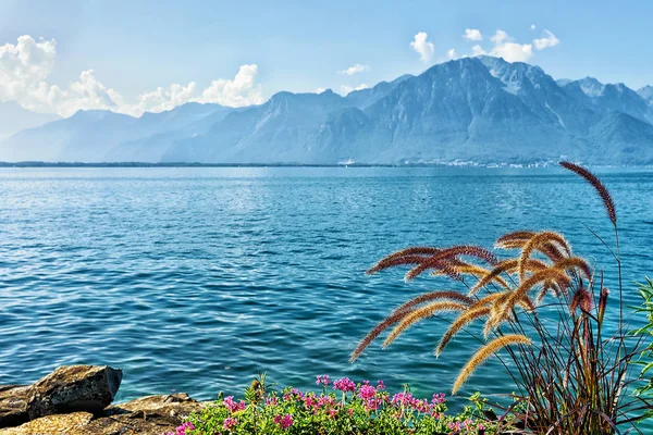 Flores floreciendo en el paseo marítimo del lago Geneva en Montreux — Foto de Stock
