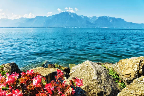 Blumen blühen an der Promenade des Genfer Sees in Montreux — Stockfoto