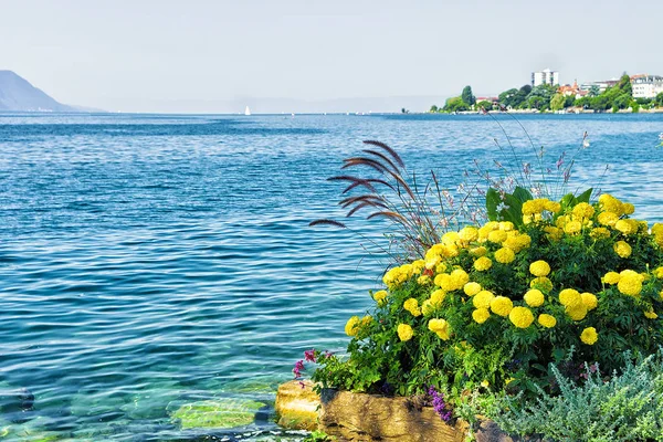 Flores florescem no aterro do Lago de Genebra em Montreux — Fotografia de Stock