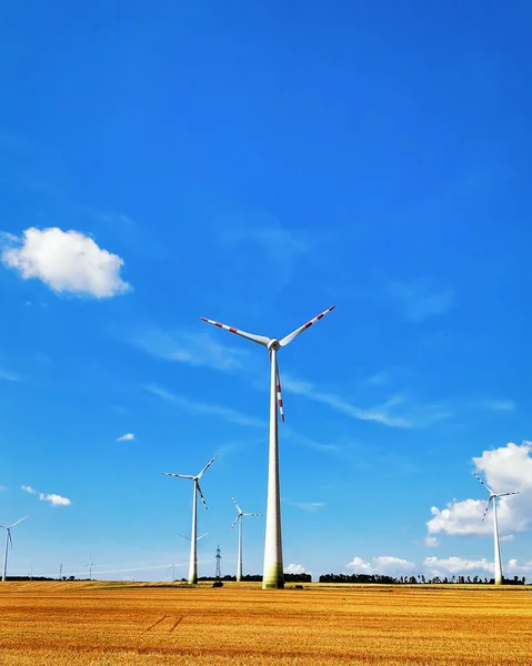 Wind mills in field in summer — Stock Photo, Image