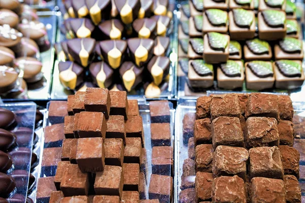 Collection of Swiss chocolate sweet — Stock Photo, Image