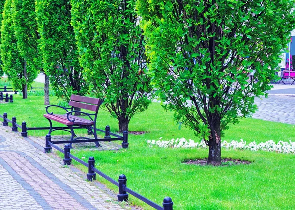 Ławce w parku w Marcinkovsky Poznań alei — Zdjęcie stockowe