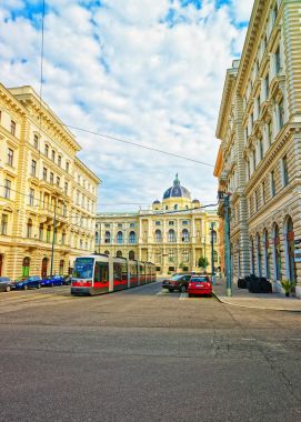 Shmerlingplatz doğa tarihi Viyana Müzesi için Manzaralı