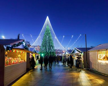 İnsanlar içinde Noel çarşı vasıl gece Vilnius eğleniyor