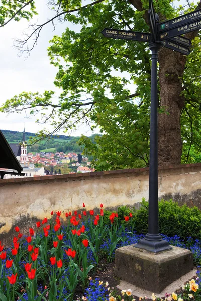 Tulip flowers blossoming in street garden Cesky Krumlov — Stock Photo, Image