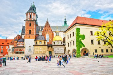 İnsanlar Wawel katedral Krakow tepe üzerinde