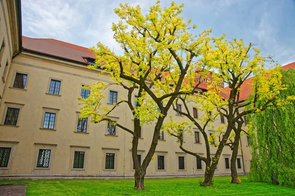 Wewnętrzny dziedziniec w Krakowie zamek wawelski — Zdjęcie stockowe