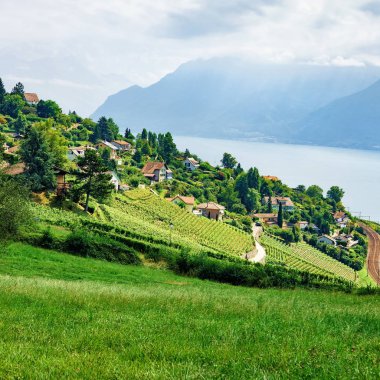 Lavaux bağ Teras hiking trail İsviçre, kırsal